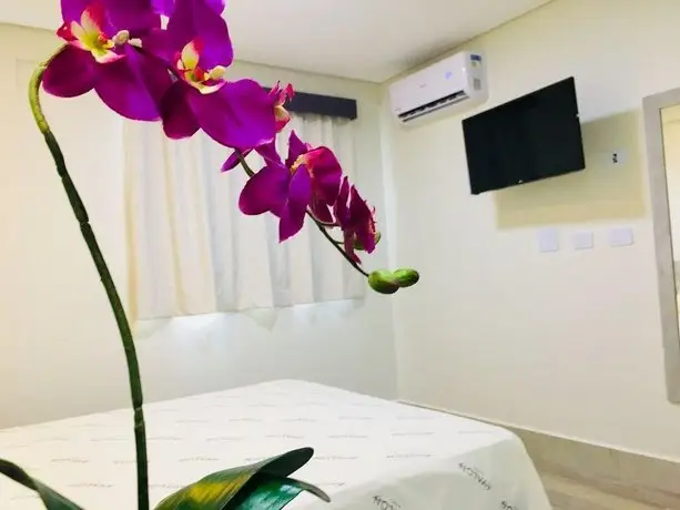 Hotel Avalon Smart-Economico Centro 