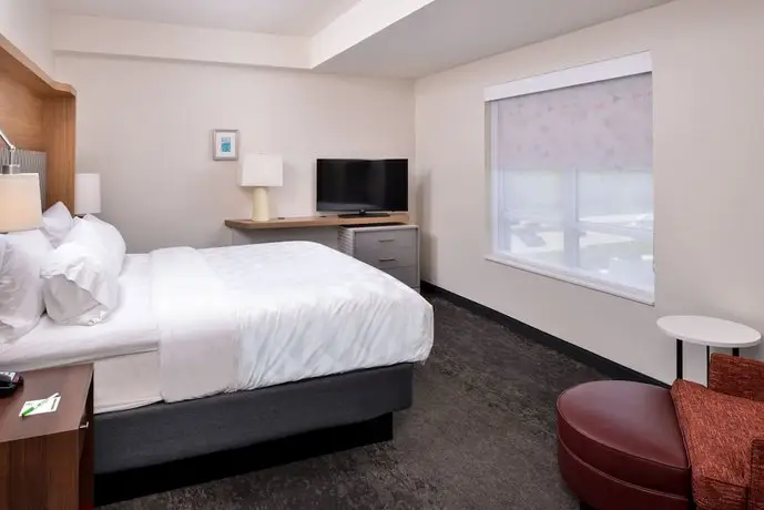 Holiday Inn & Suites - Farmington Hills - Detroit NW værelse