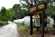 Eureka Farm 