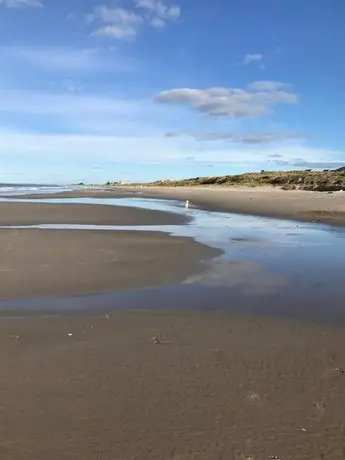 Unit by the Beach