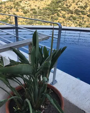 Duplex Apartment Karma Evleri Yalikavak Bodrum Palm Marina