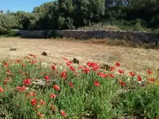 Sa Coma Ciutadella de Menorca 