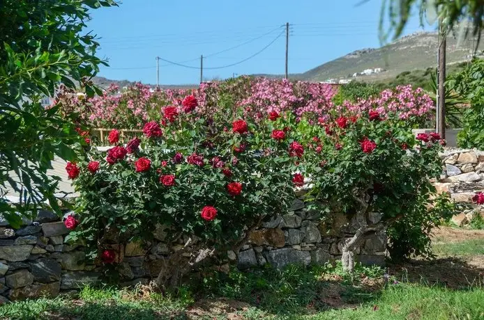 Golden Beach Studios Naxos Island