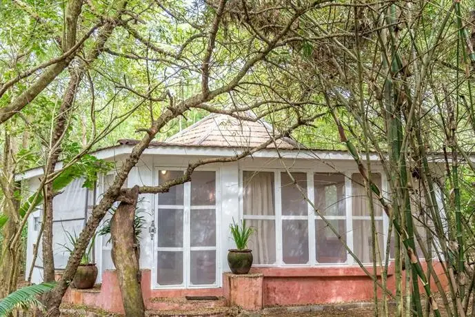 Tequila Sunrise Beach Cabana - Diani Beach 