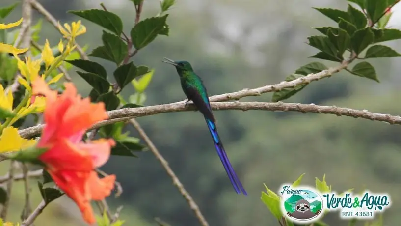 Parque Verde y Agua