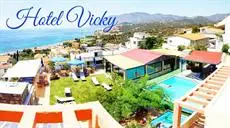 Hotel Vicky III 