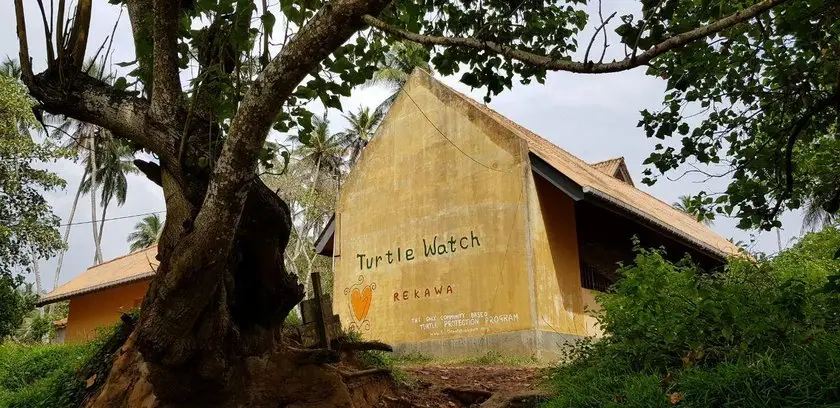 Turtle Paradise Tangalle