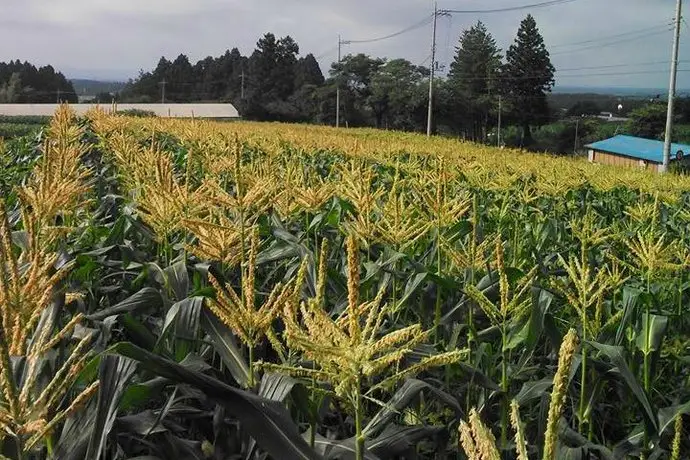 The Key Highland Nasu 