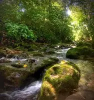 Cabanas del Rio La Fortuna 