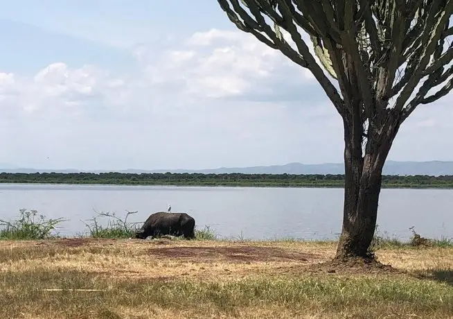 Kasenyi Lake Retreat & Campsite