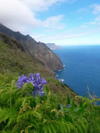 Apartment By the Sea Ribeira Brava