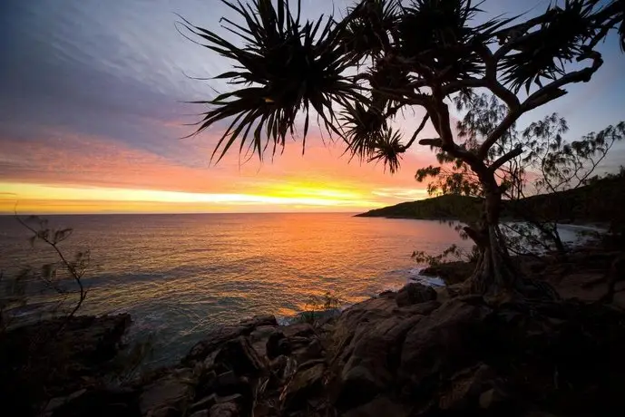 Low Tide on Noosa Sound - Pet Friendly