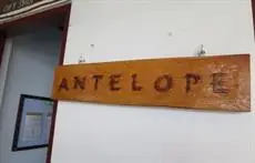 Antelope Guesthouse 