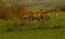 Marafiki Safari Lodge Kasese 