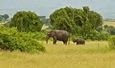 Marafiki Safari Lodge Kasese 