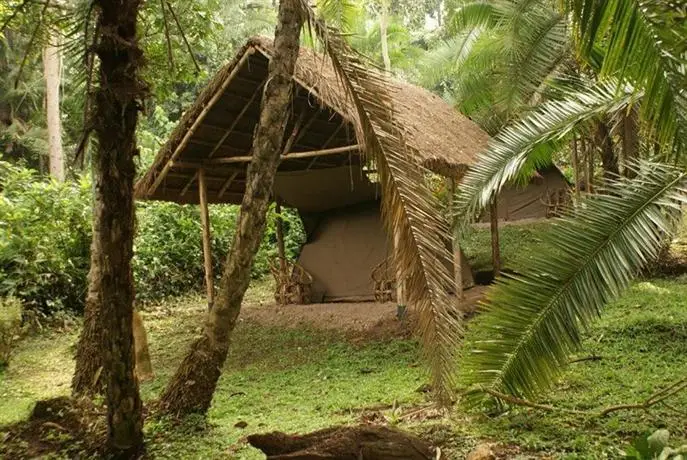 dancover zelt Dancover 5x8m Basic Storage Tent White 200g PE  Buy now