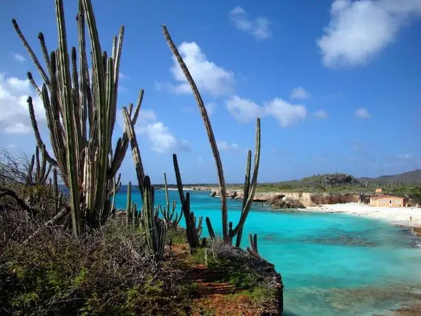 Paradise At Bonaire 