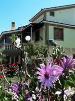 Villa Ariadni Guesthouse 