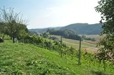 Ferienhaus Chalet Riegersburg 