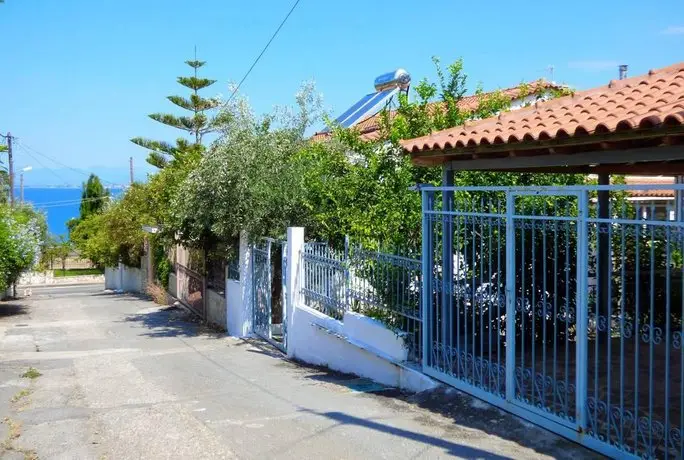 Garden by the beach 