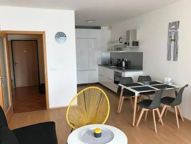 Apartment Modrany 