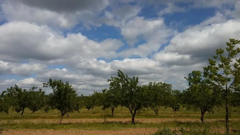 La Huella Verde