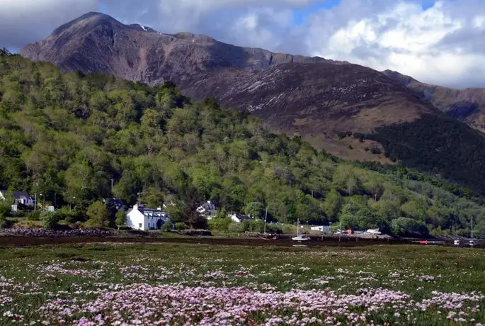 Pier House Glencoe