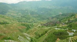 LongJi Terraces Tian ranju Inn 