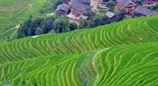 LongJi Terraces Tian ranju Inn 