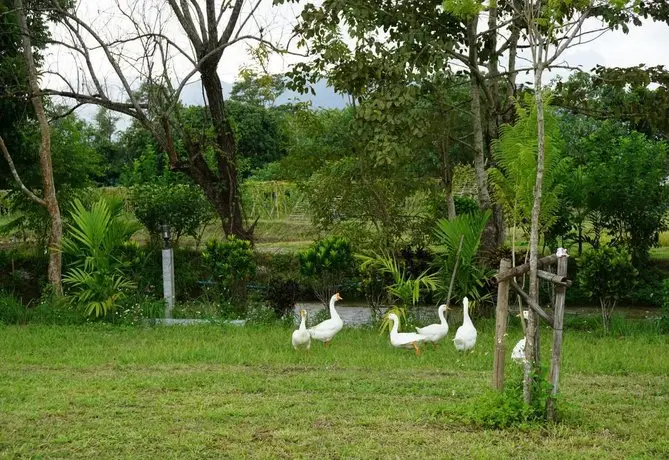 Ban Suan Tawan Chiang Dao 