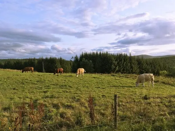 Jasmine Lodge Dufftown