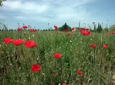 Agriturismo Le magnolie 