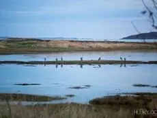 Waterside Skye 