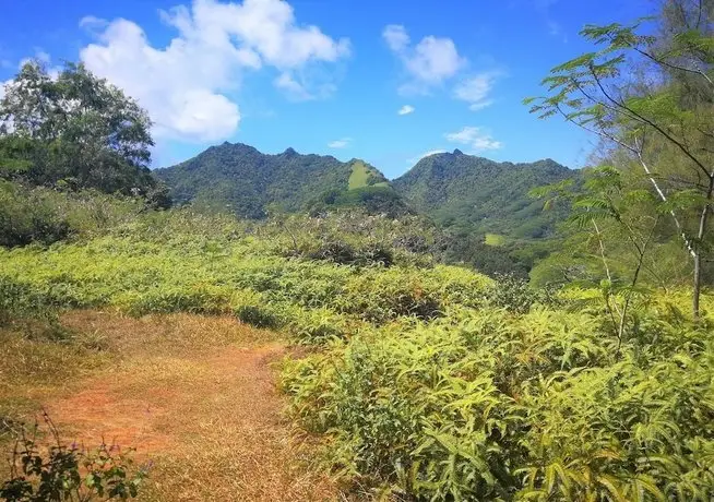 Rarotonga GolfSeaView 