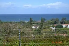 Ocean View BnB 