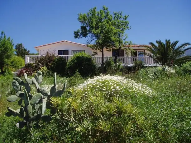 Casitas Vista Valle Bajo