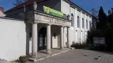 Apartament Bluszcz 