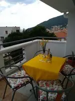 Apartmani Jovanovic Petrovac 