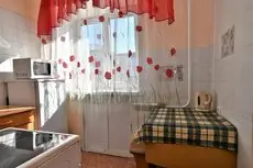 Apartment on Lenina Krasnoyarsk City Centre Krasnoyarsk 