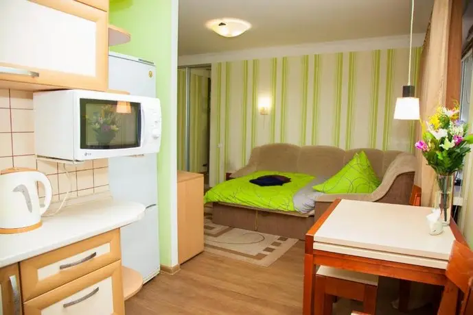 Semi-luxury Apartment on Nezalezhnoi Ukrainy 65-B