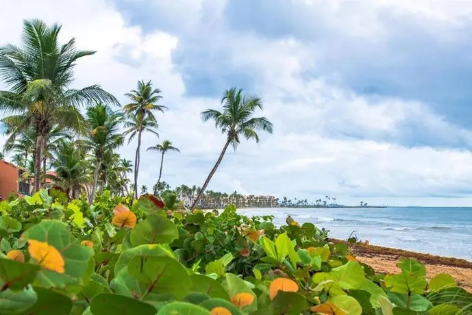 BV103 - Amazing Oceanfront Condo steps from beach