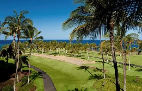 Ocean Tower At Hilton Waikoloa Village 