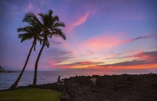 Ocean Tower At Hilton Waikoloa Village 