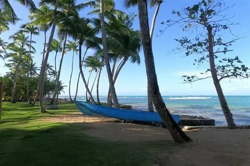 Turtle Lagoon Beach