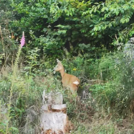 Naehe Nationalpark