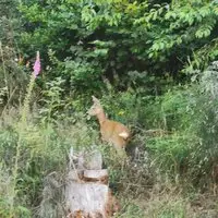 Naehe Nationalpark 