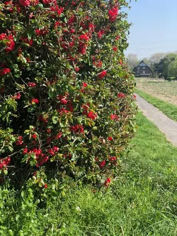 Koeniglicher Aufenthalt inmitten der Natur 