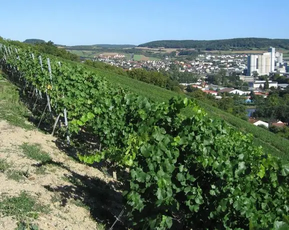 Weinstube Schwalbennest