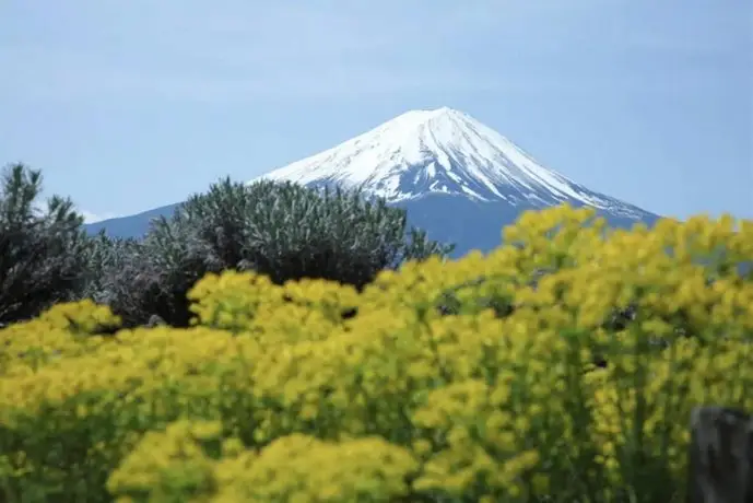 Comfortable house with Mt Fuji View BEARHOUSE D