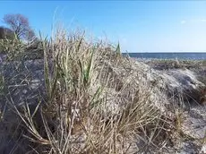 FeWo MEERESBRISE-Familie-Strandnah-Garten-Seeblick 